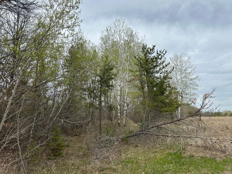 TBD Co Rd 26, Ponsford, MN 56575