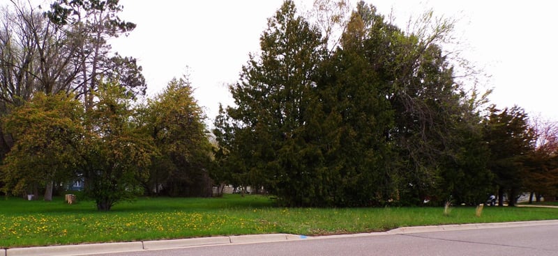 419 7th St NE, Long Prairie, MN 56347