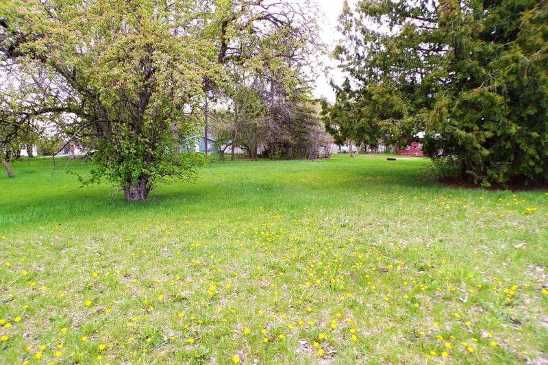 419 7th St NE, Long Prairie, MN 56347