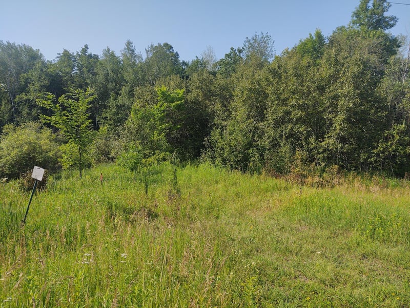 TBD 168th St, Hillman, MN 56338