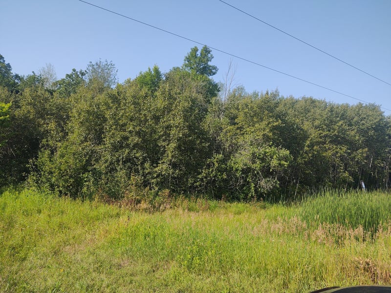 TBD 168th St, Hillman, MN 56338