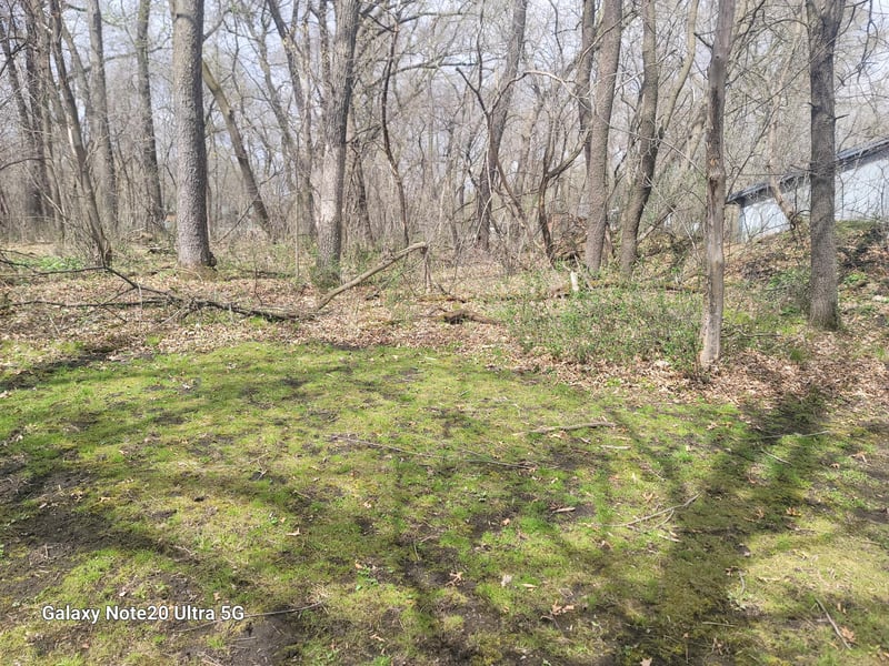 5802 90th St Nw, Pine Island, MN 55963