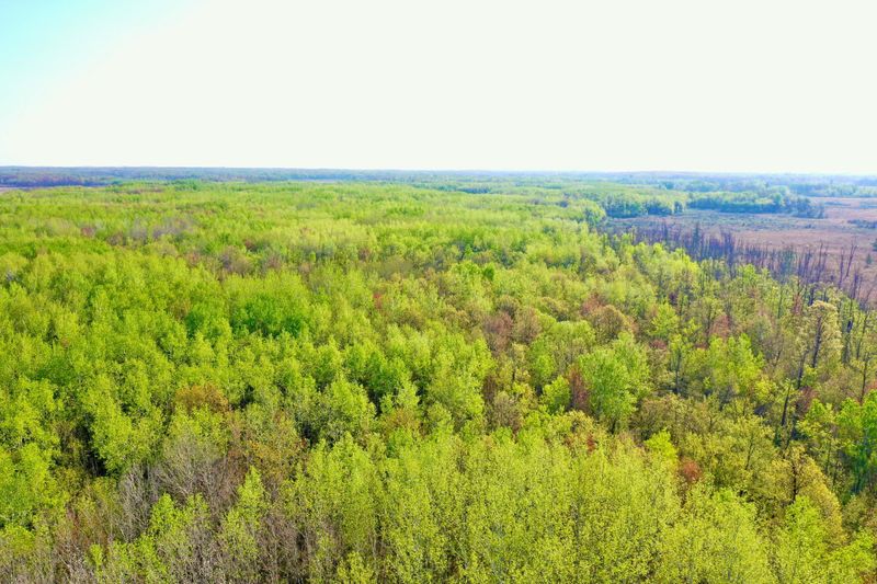 3622 Munkelwitz Rd, Isle, MN 56342