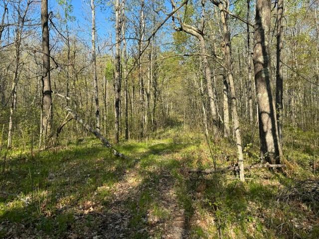 13741 193rd Pl, Mc Grath, MN 56350