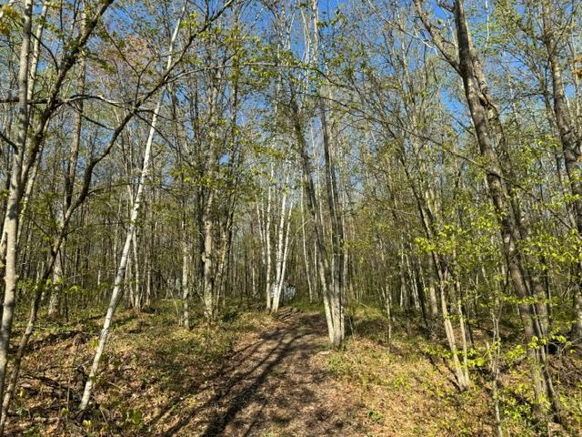 13741 193rd Pl, Mc Grath, MN 56350