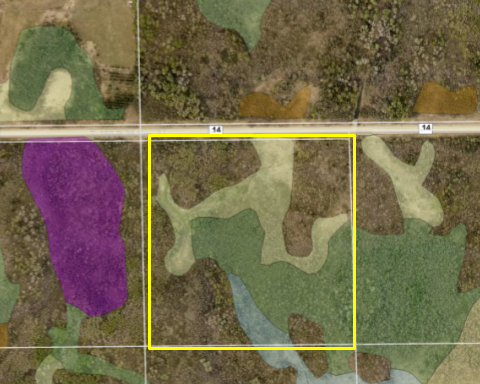 TBD County Road 14, Bigfork, MN 56628