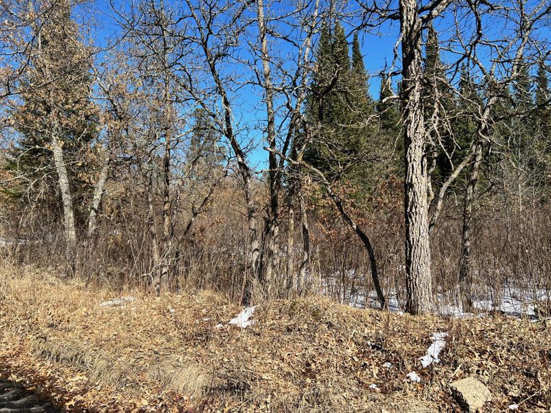 TBD Quiet Pond Trl, Bemidji, MN 56601