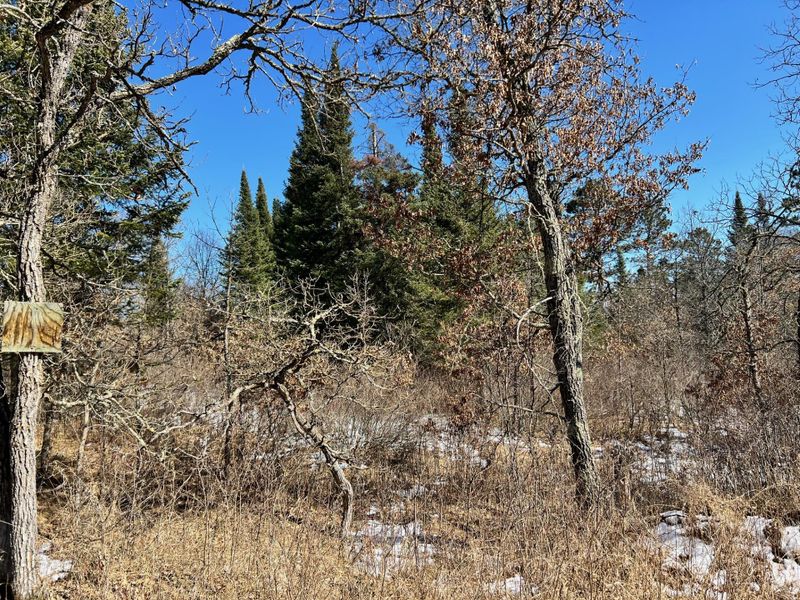 TBD Quiet Pond Trl, Bemidji, MN 56601