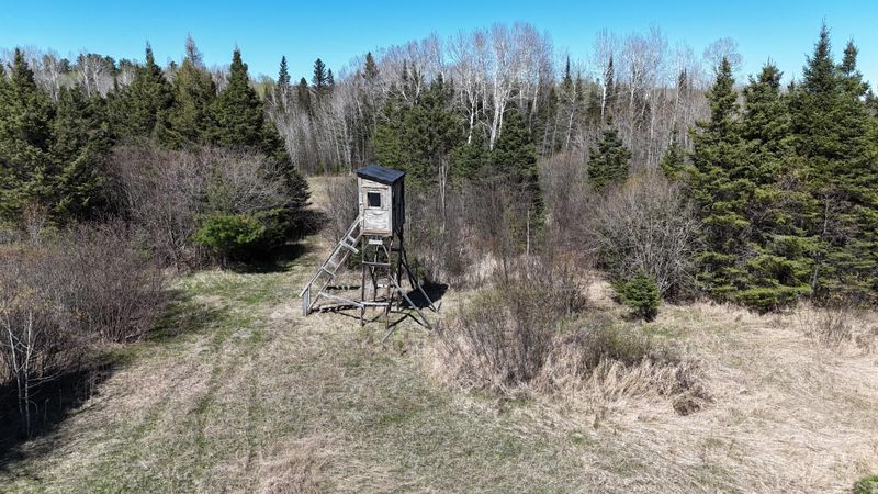 xx34 Range Line Rd, Orr, MN 55771