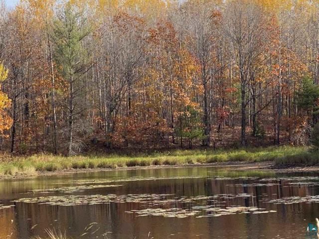 xxx S Wills, Brule, WI 54820