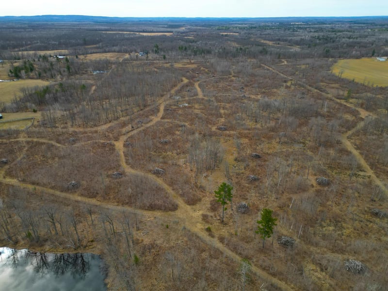 XXX Mclean Rd, Bruce, WI 54819