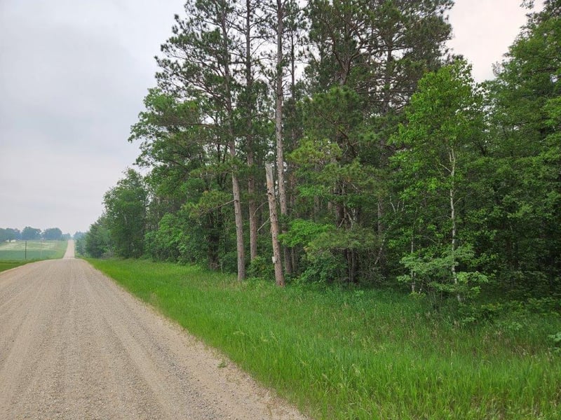 TBD 269th Ave, Leonard, MN 56652