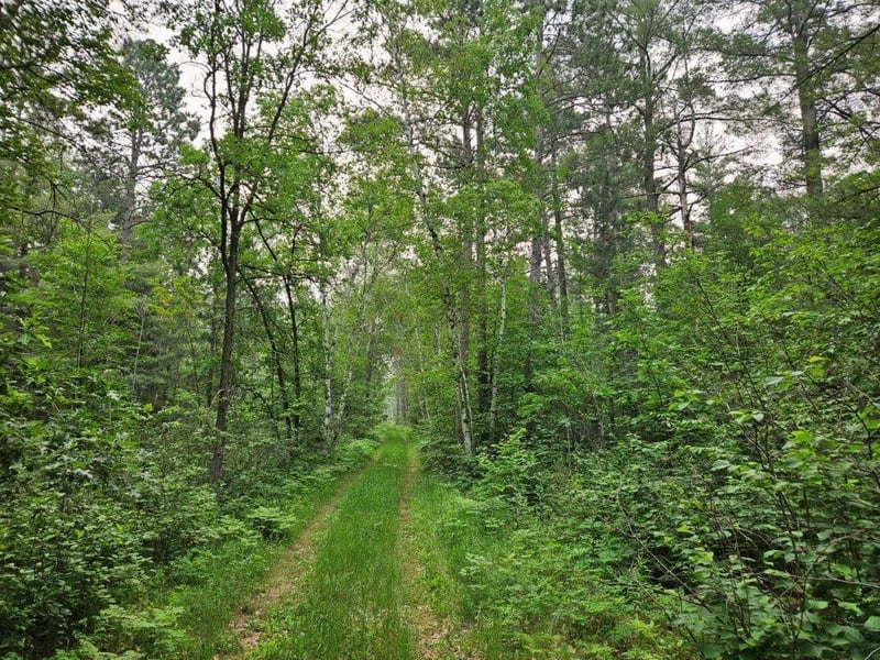 TBD 269th Ave, Leonard, MN 56652