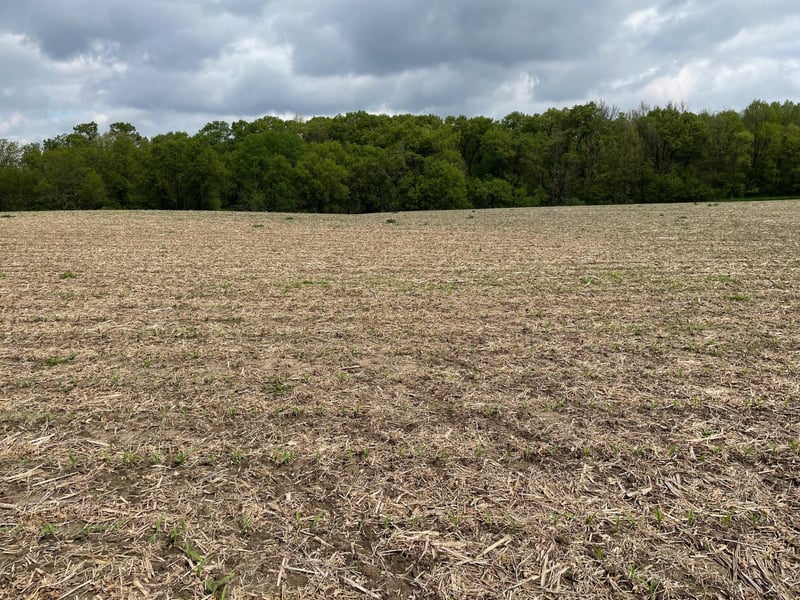 XXX County Rd 1 SE, Stewartville, MN 55976