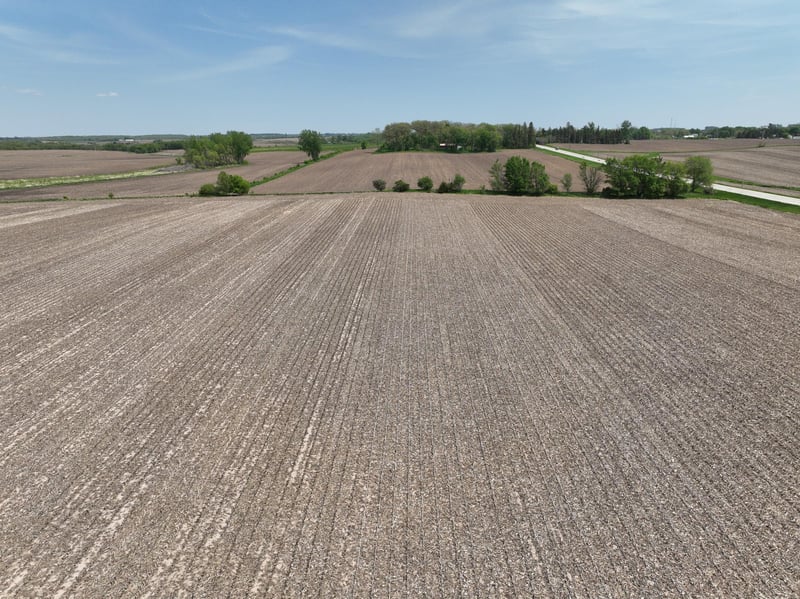 XXX County Rd 1 SE, Stewartville, MN 55976