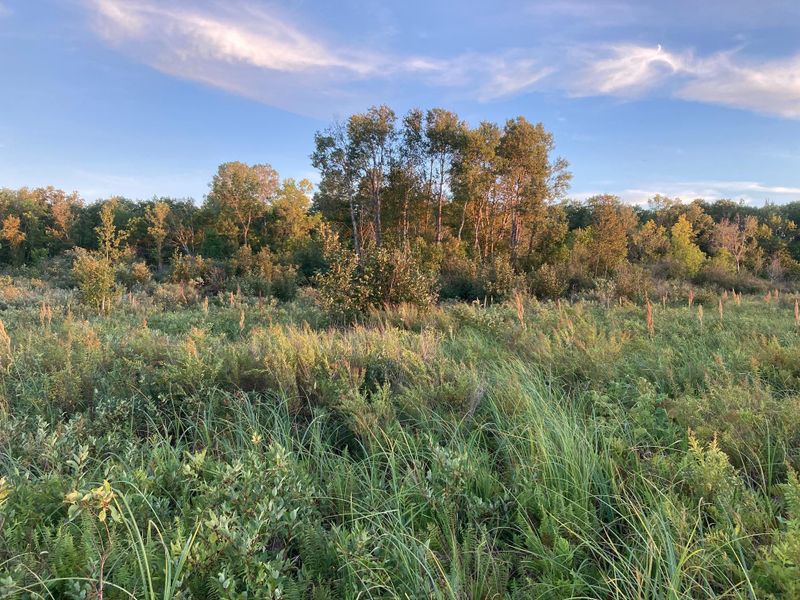 XXXXX Merlin Rd, Milaca, MN 56353