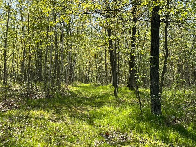 67427 Boundary Line Rd, Askov, MN 55704