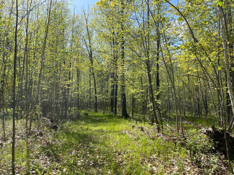 67427 Boundary Line Rd, Askov, MN 55704