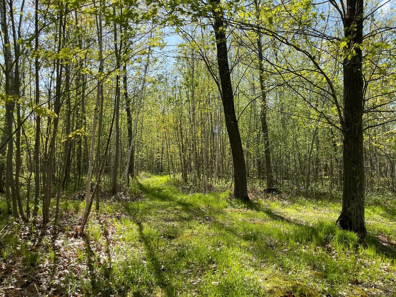 67427 Boundary Line Rd, Askov, MN 55704