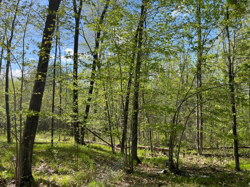 67427 Boundary Line Rd, Askov, MN 55704