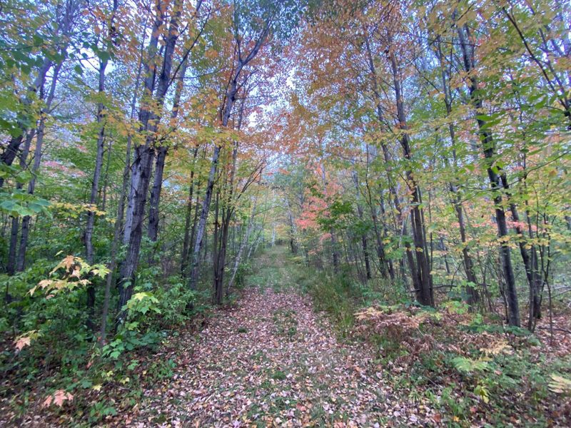 xxx County Road 8, Holyoke, MN 55749