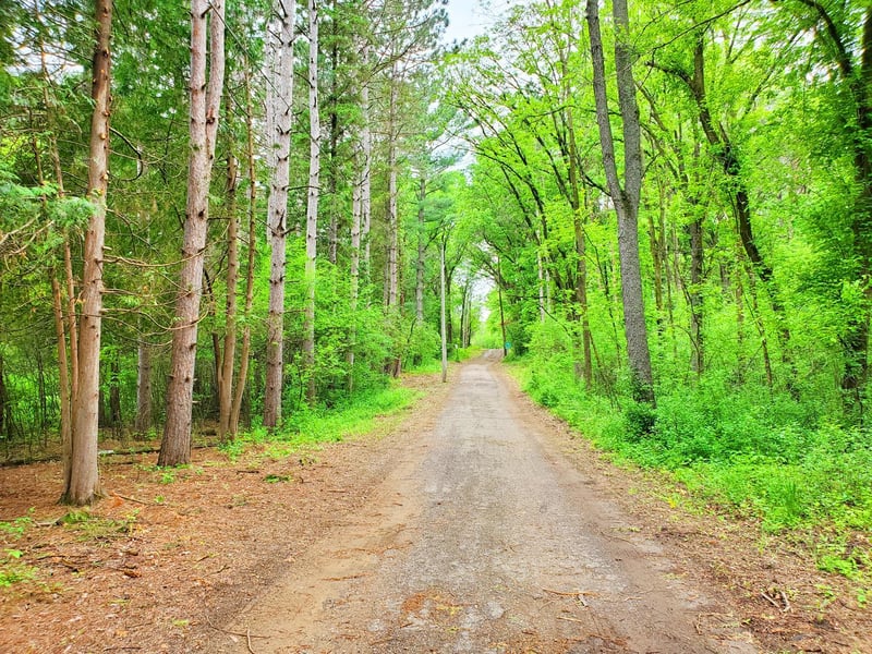 XXX lot 1 Chestnut St, Marine On Saint Croix, MN 55047