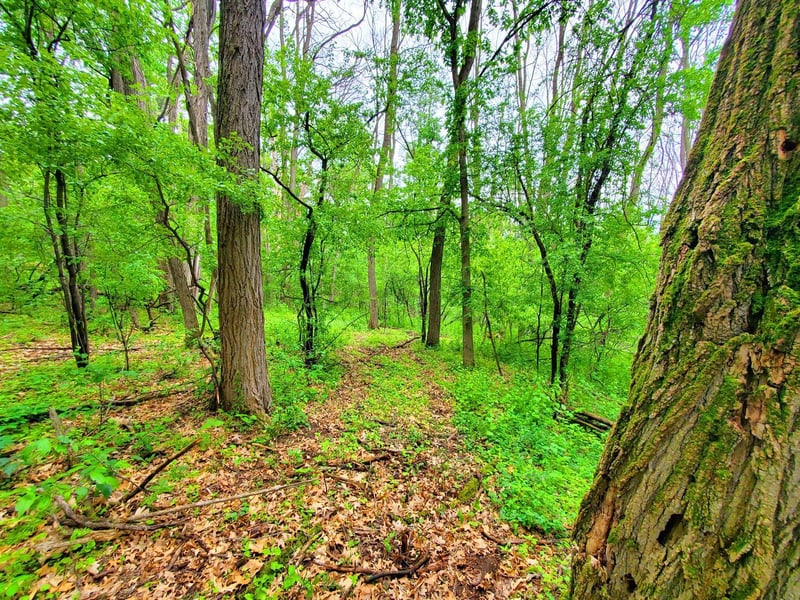 XXX lot 1 Chestnut St, Marine On Saint Croix, MN 55047