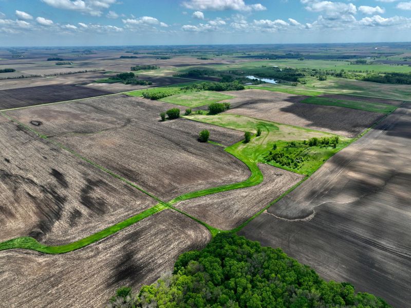 XXX County Road 23, Springfield, MN 56087