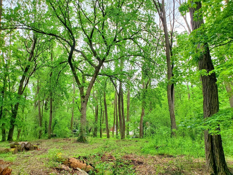 XXX lot 2 Chestnut, Marine On Saint Croix, MN 55047