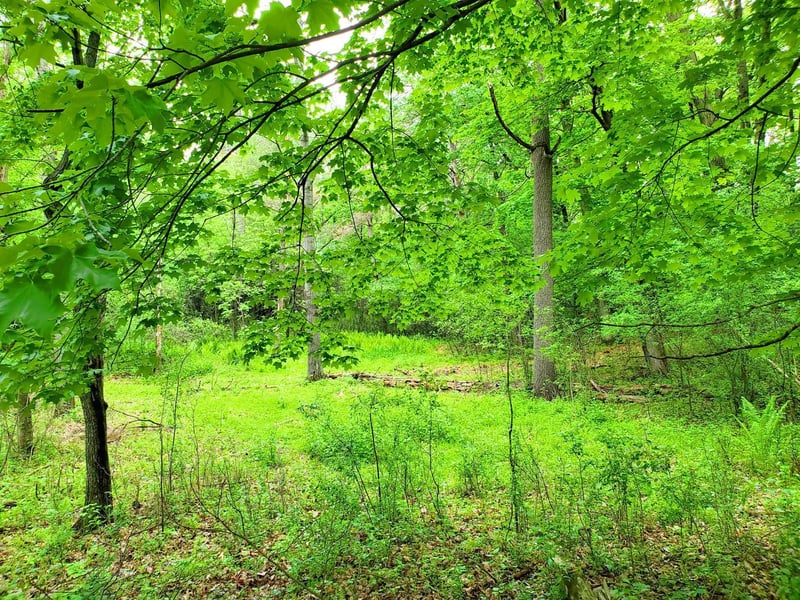XXX lot 2 Chestnut, Marine On Saint Croix, MN 55047