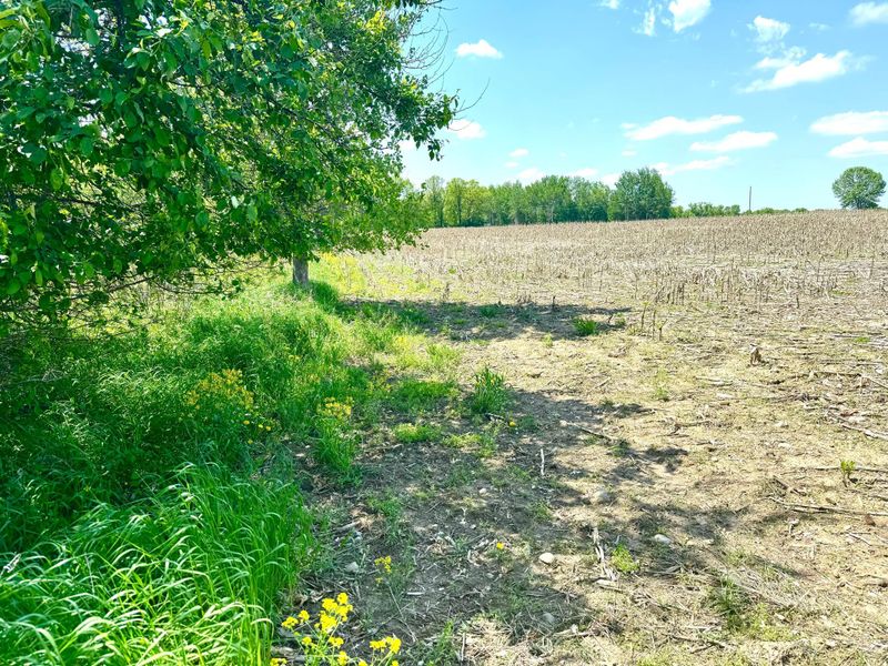 0 90th Ave, Princeton, MN 55371