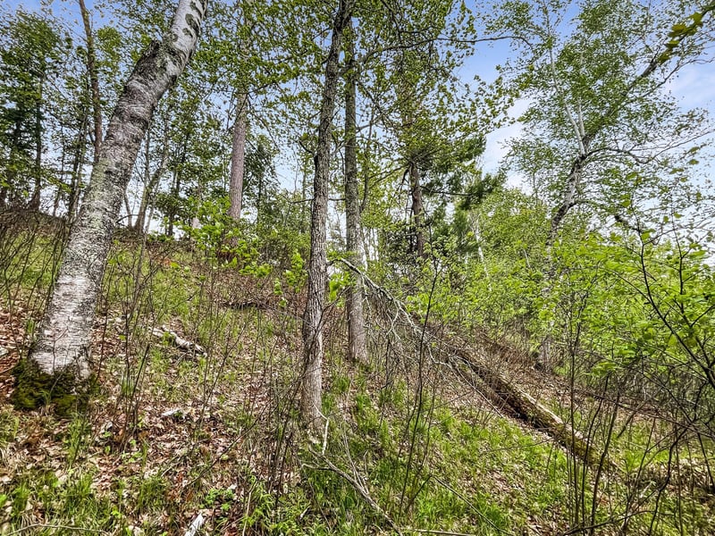 XXXX County Rd T, Wascott, WI 54838