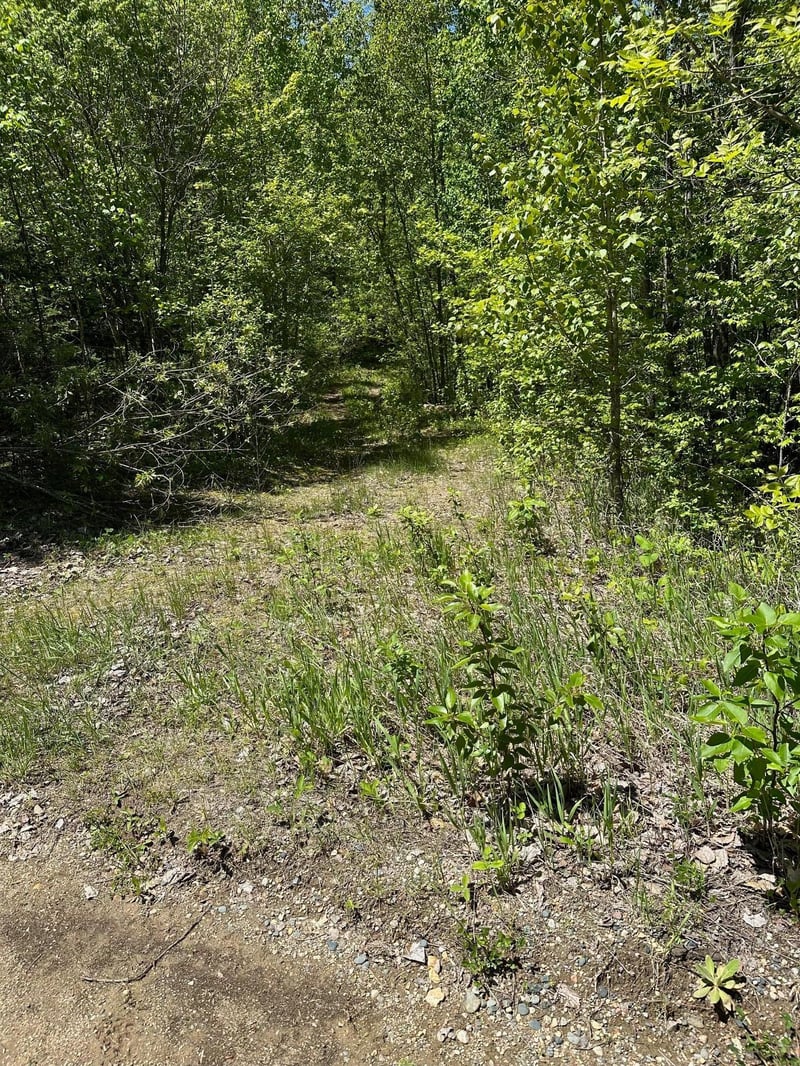 37680 Sunset Dr, Ponsford, MN 56575