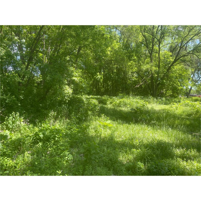 xxx1 Wheelock Ln, Saint Paul, MN 55117