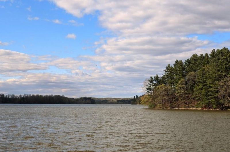 Lots 7 - 8 297th St, Eau Galle, WI 54737