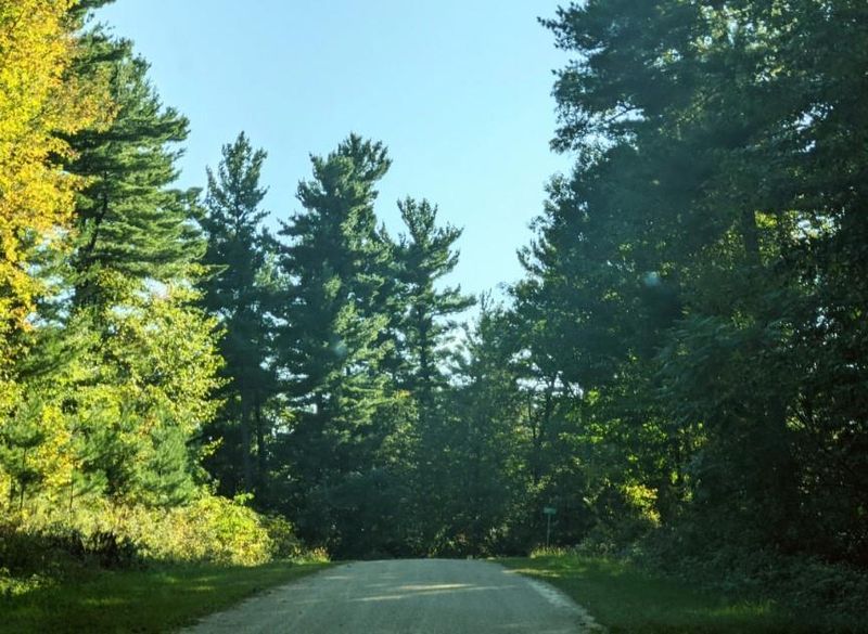 Lots 7 - 8 297th St, Eau Galle, WI 54737