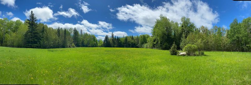 10891 Highway 71, Mizpah, MN 56660