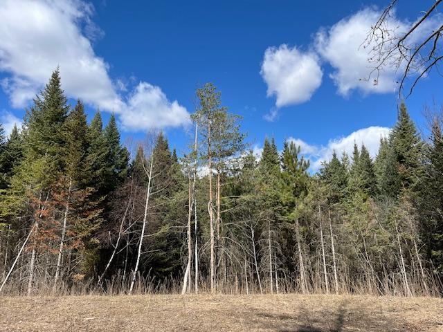 23122 Sunrise Rd NE, Linwood Twp, MN 55079