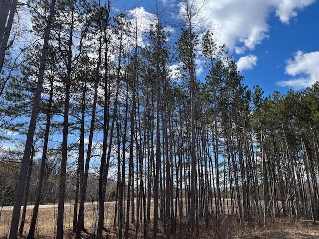 23122 Sunrise Rd NE, Linwood Twp, MN 55079