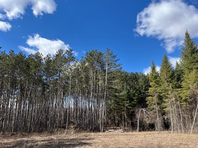 23122 Sunrise Rd NE, Linwood Twp, MN 55079