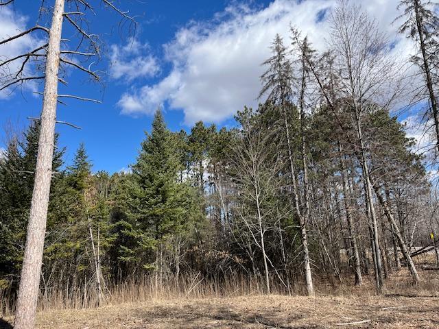 23122 Sunrise Rd NE, Linwood Twp, MN 55079
