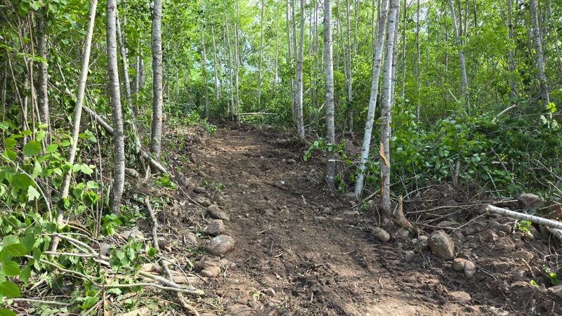 2825 Niles Bay Forest Rd, Buyck, MN 55771