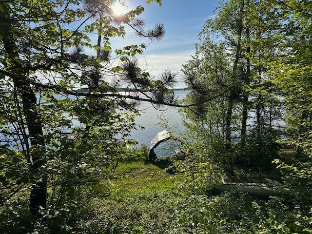 9030 Bear Island Cabin Dr, Babbitt, MN 55706