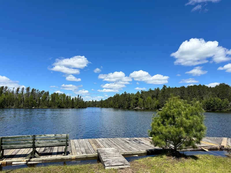 9267 Burris Dr, Cook, MN 55723