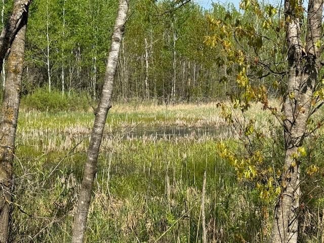 TBD 415th Ave, Hillman, MN 56338