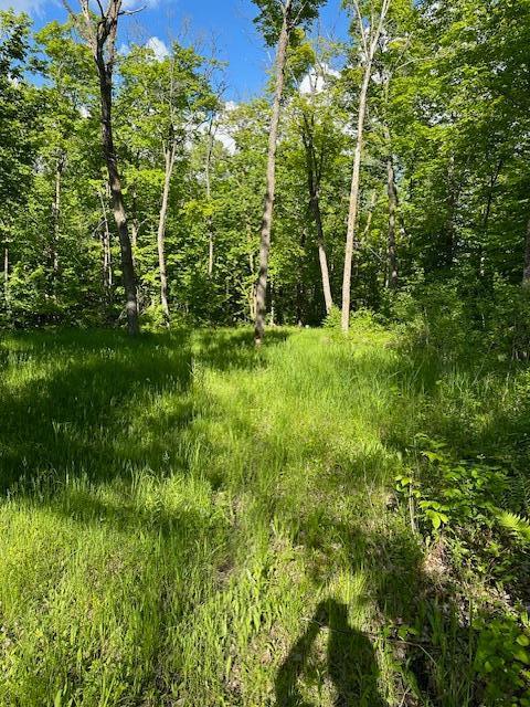 TBD Deervine Trl NE, Tenstrike, MN 56683