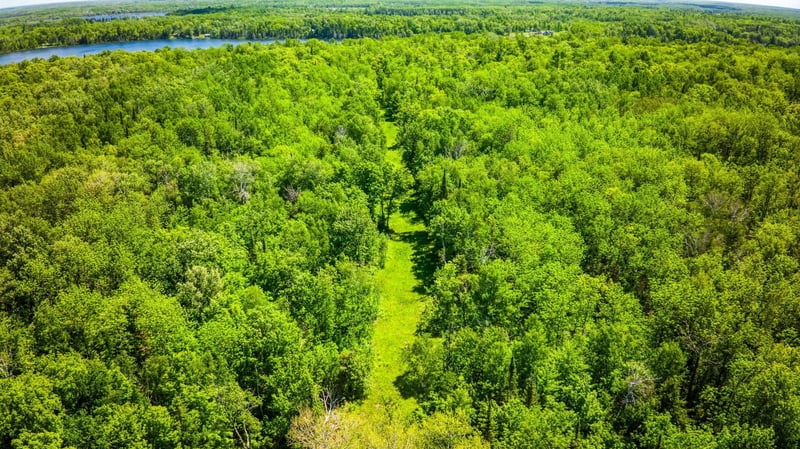 TBD Deervine Trl NE, Tenstrike, MN 56683
