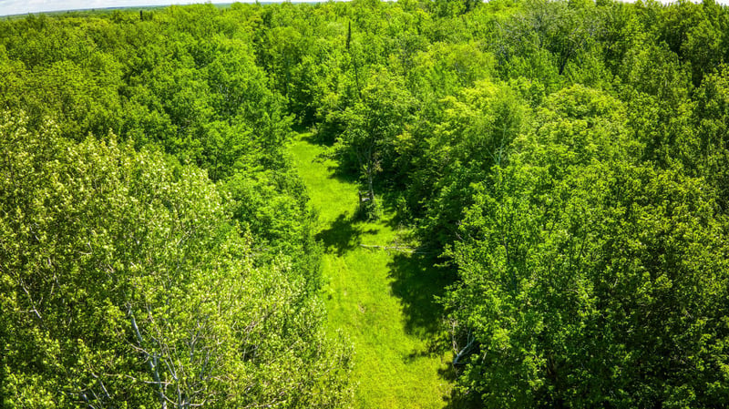 TBD Deervine Trl NE, Tenstrike, MN 56683