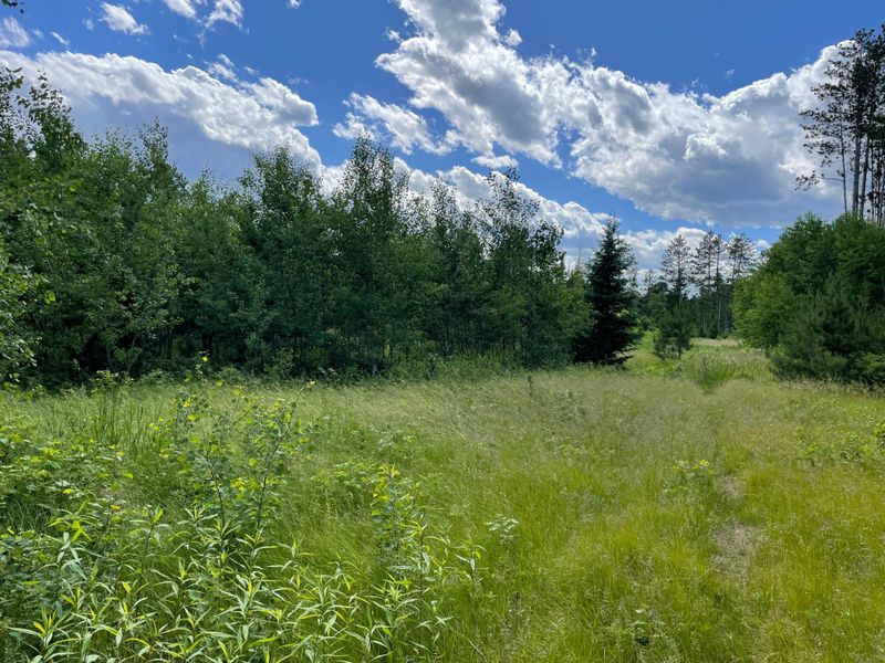 XXX County Rd 145, Pequot Lakes, MN 56472