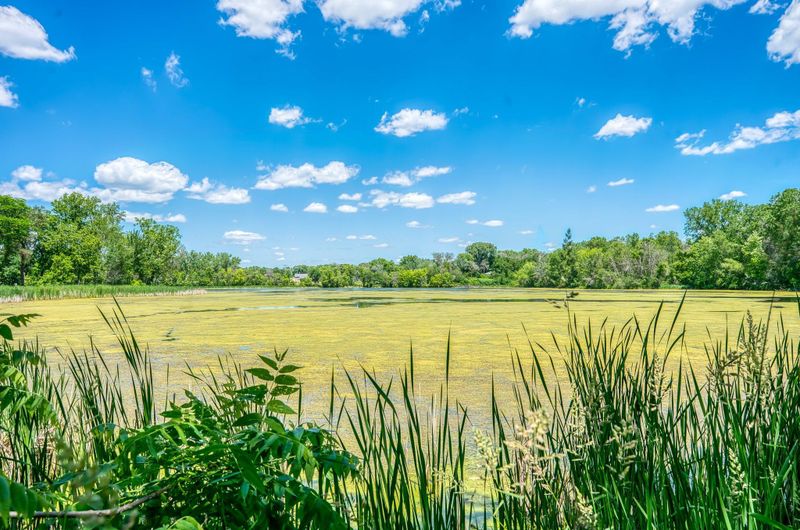 1517 Larpenteur Ave E, Maplewood, MN 55109